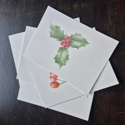 28 november - Botanisch Tekenen met Kleurpotlood – Kerstkaarten