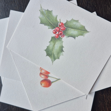 28 november - Botanisch Tekenen met Kleurpotlood – Kerstkaarten