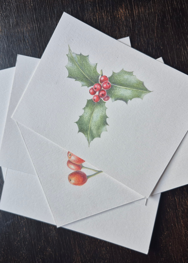 28 november - Botanisch Tekenen met Kleurpotlood – Kerstkaarten