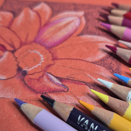 3, 10 en 17 april - Onderzoek naar kleurpotlood en papier techniek 3 daagse