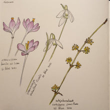 Afbeelding in Gallery-weergave laden, 18 maart - Kleurpotlood: Bujo Botanisch Voorjaar

