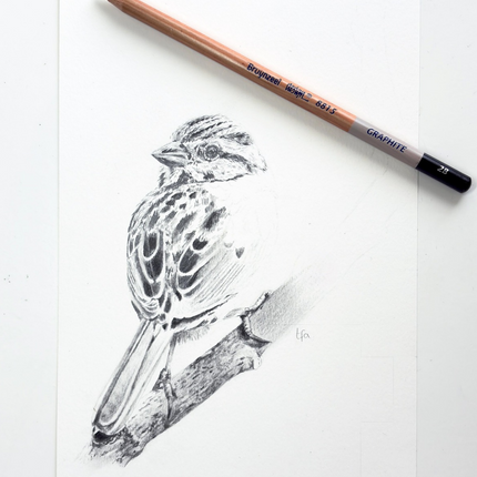 18 december - Vogels tekenen met grafiet en houtskool