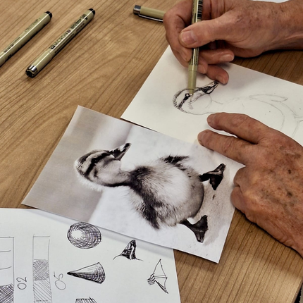 13 november - Eendje met fineliner