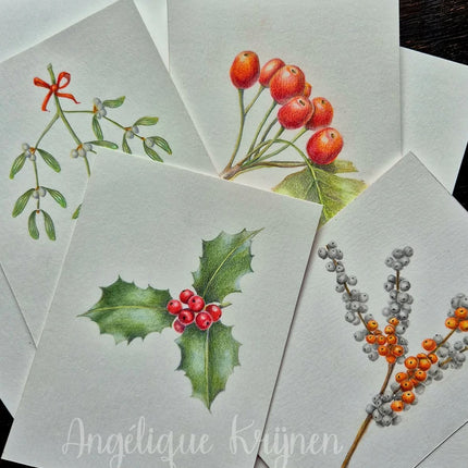 28 november - Botanisch Tekenen met Kleurpotlood – Kerstkaarten