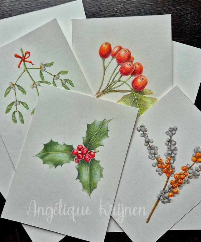 28 november - Botanisch Tekenen met Kleurpotlood – Kerstkaarten