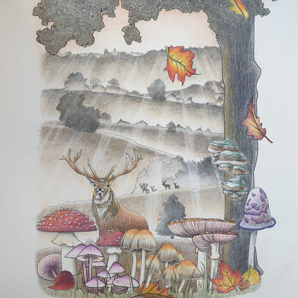 6 november - Herfsttafereel “De Posbank” in kleurpotlood