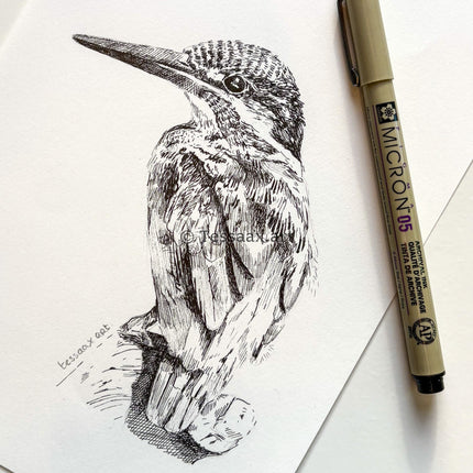 6 Augustus - IJsvogel met fineliner