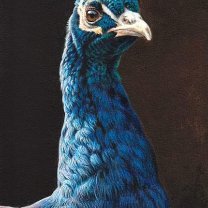 28 april - Drybrush op zwart - Pauw / Giraffe / Kaketoe