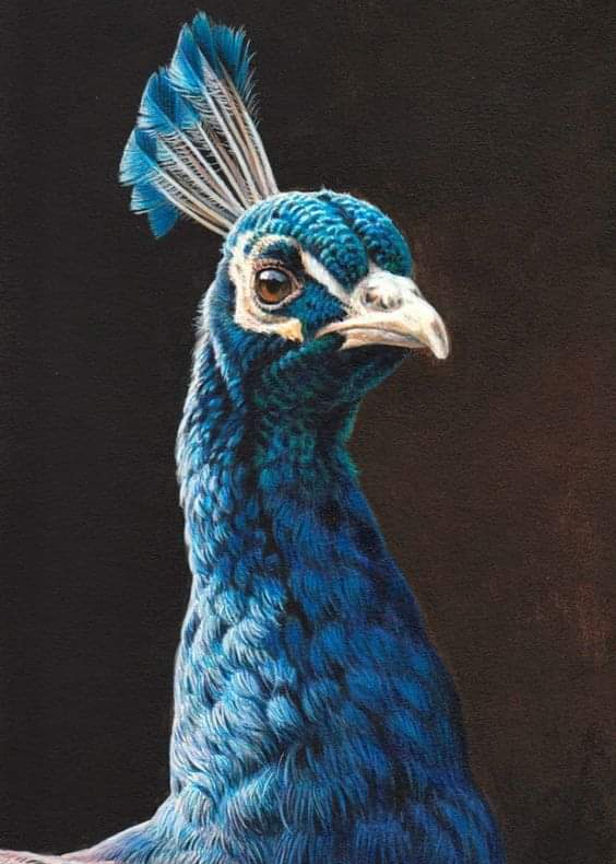 29 september - Drybrush op zwart - Dier
