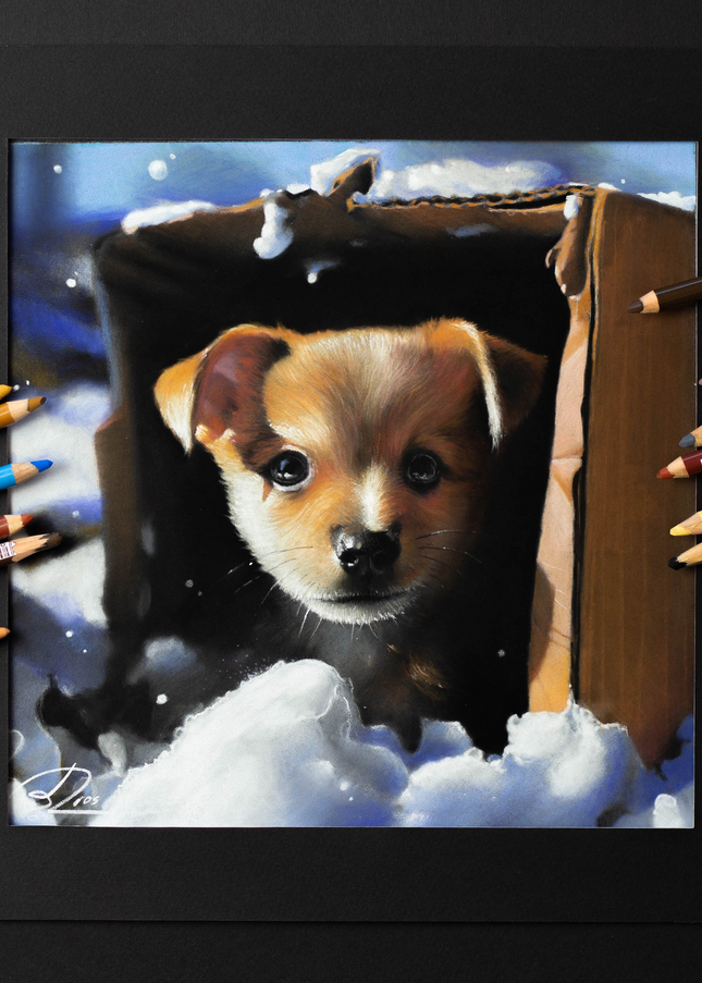 3 december - Drawing a Puppy with Pastel Pencils