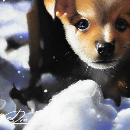 3 december - Drawing a Puppy with Pastel Pencils