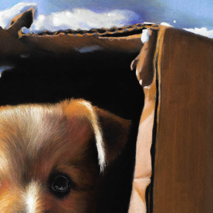 3 december - Drawing a Puppy with Pastel Pencils