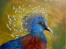 Afbeelding in Gallery-weergave laden, 30 november - Kroonduif met olieverf

