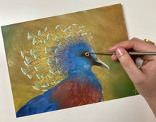 Afbeelding in Gallery-weergave laden, 30 november - Kroonduif met olieverf
