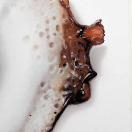 15 oktober - Drawing a Fried Egg in Pastel