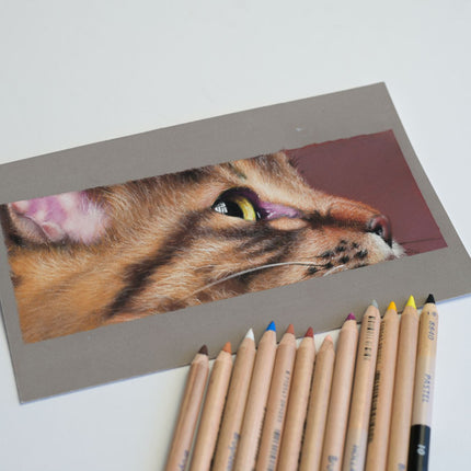 25 november - Drawing a Realistic Cat Portrait in Pastel ONLINE