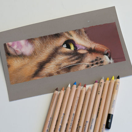 25 november - Drawing a Realistic Cat Portrait in Pastel ONLINE