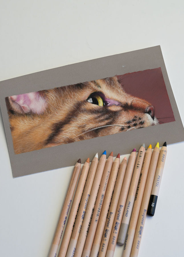25 november - Drawing a Realistic Cat Portrait in Pastel ONLINE