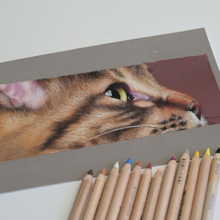25 november - Drawing a Realistic Cat Portrait in Pastel ONLINE