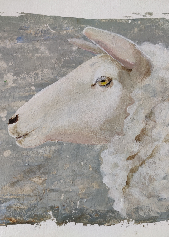 13 november - Schaap met acrylverf