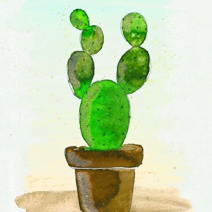 3 augustus- Botanisch werken met ecoline