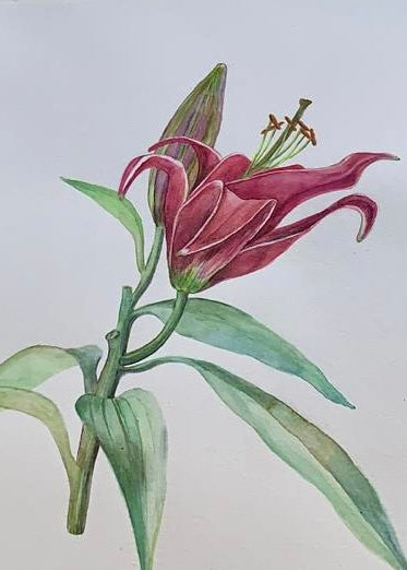 6, 12 en 13 maart - 3-daags Masterclass Botanisch schilderen i.s.m. het Rijksmuseum