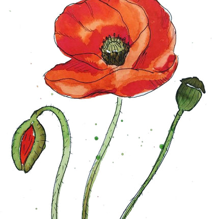 3 augustus- Botanisch werken met ecoline